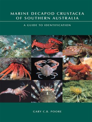 cover image of Marine Decapod Crustacea of Southern Australia